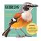 TF Publishing 2025 Birds: Backyard & Beyond Daily Desktop Calendar